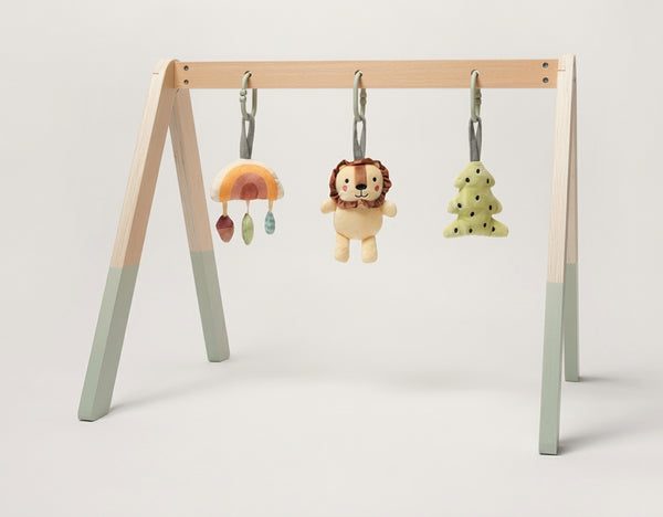 Montessori Play Gym