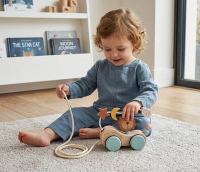 Montessori Roaring Roller