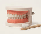 Montessori Brushing Teeth