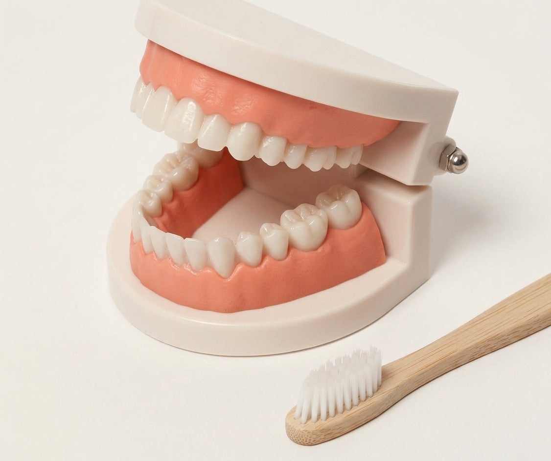 Montessori Brushing Teeth