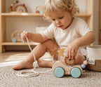 Montessori Roaring Roller