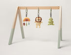 Montessori Play Gym