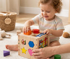Montessori Wooden Sorting Cube