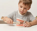Montessori Brushing Teeth